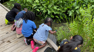 Youth Gardeners