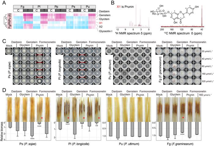 The functional validation of five inducible compounds