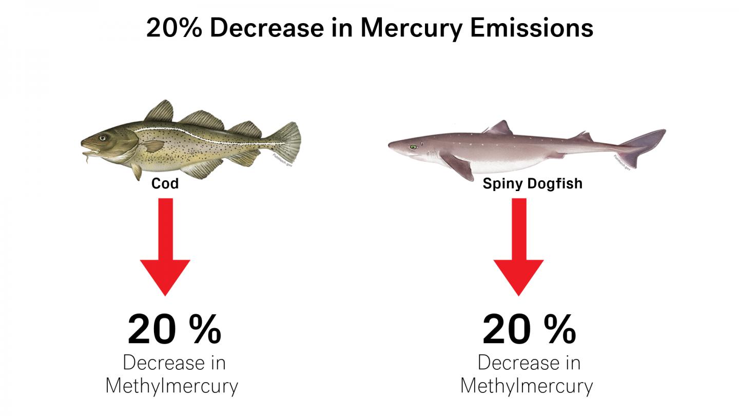 Emissions Decrease