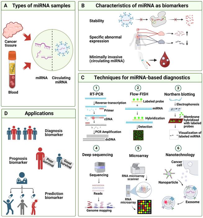 miRNA as Biomarkers: Types, Characteristics, Detection Technology, and Applications