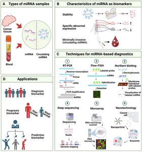 miRNA as Biomarkers: Types, Characteristics, Detection Technology, and Applications