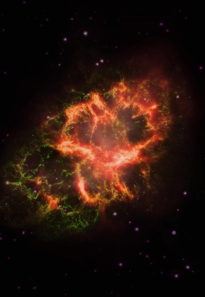 A composite of infrared (shown as red), visible (green) and ultraviolet (violet) images of the Crab Nebula