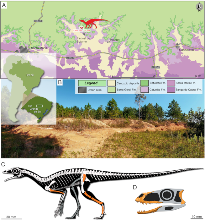 Location where the fossils were found