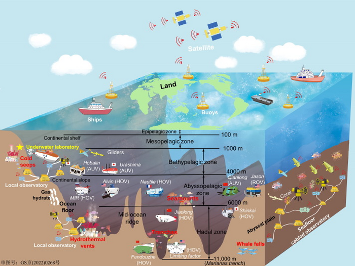 Working model of stereoscopic co-observation for the deep-sea ecosystem.