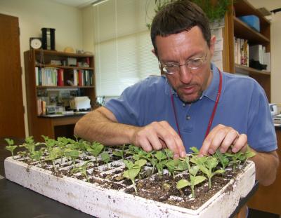 Anthony P. Keinath, Clemson University