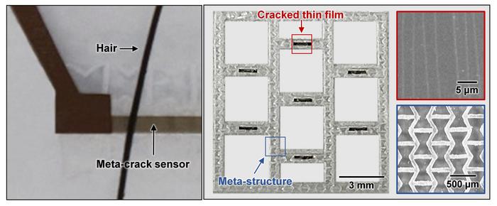 ▲ Figure 1 (Left) Hypersensitive strain sensor based on the integration of meta-structures and cracks. (Right) Thin film with cracks and meta-structures composing the meta-crack sensor.