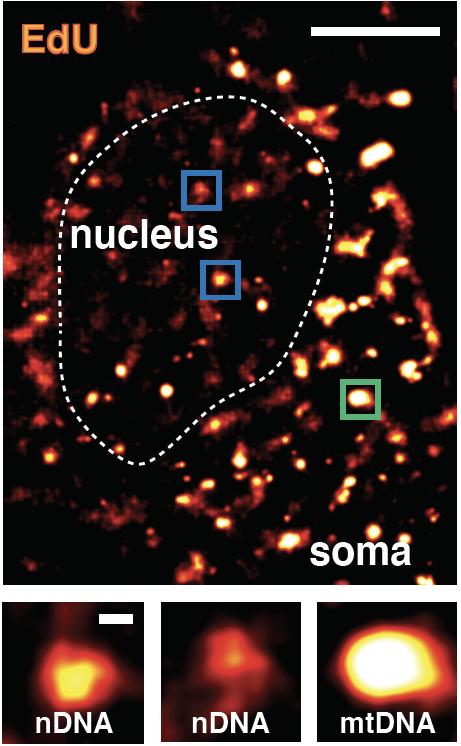 Science image