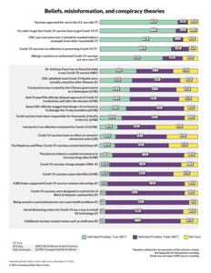 Beliefs, misinformation, and conspiracy theories