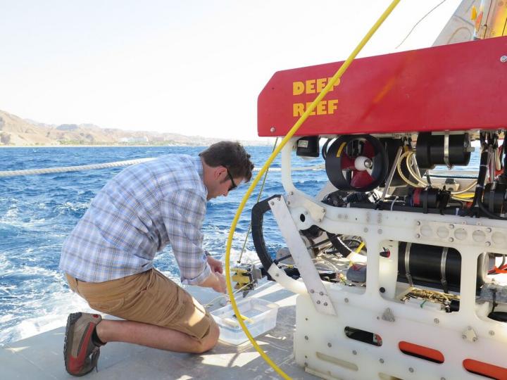 Soft Grippers for Undersea Specimen Gathering