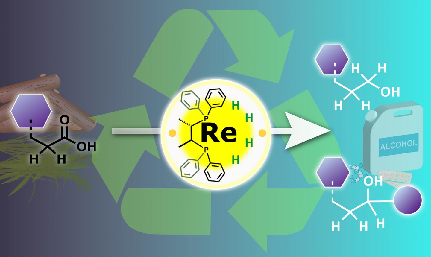 High Valence Rhenium Used to Recycle Organic Waste for a Carbon Neutral Society