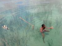 Seagrass Commons Tragedy (2 of 3)