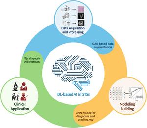 How the DL-based AI in STSs WORK