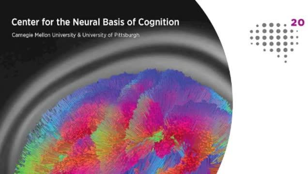 Flexing the Brain: Carnegie Mellon, Pitt Scientists Discover Why Learning Tasks Can Be Difficult