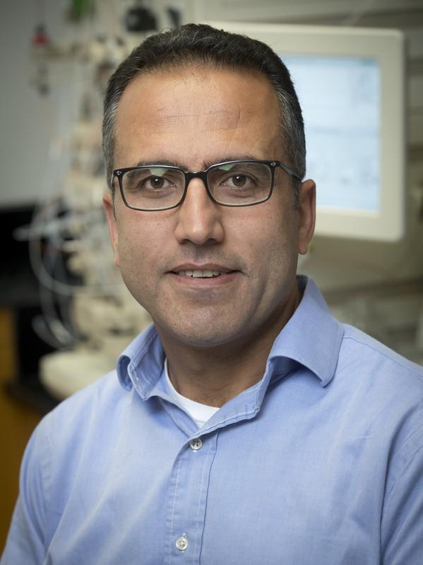 Jamil Saad, University of Alabama at Birmingham