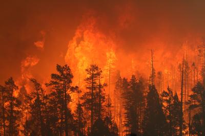 Arizona's Wallow Fire