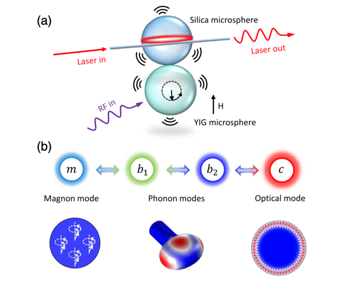 Schematic of the hybrid system that combines controlled phonons, magnons, and photons (image by SHEN Zhen et al.)