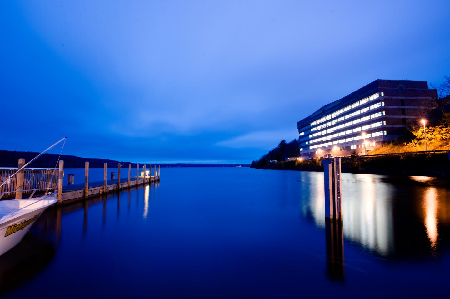 Microporous Graphene Harbors Ions