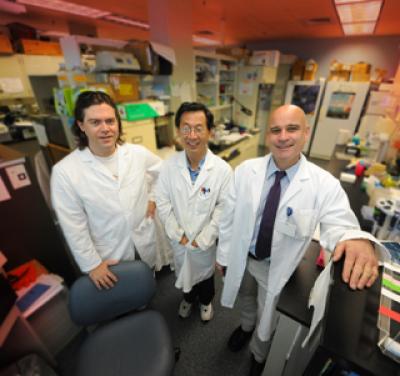 Drs. Michael Dinkins, Guanghu Wang and Erhard Bieberich, Georgia Health Sciences University