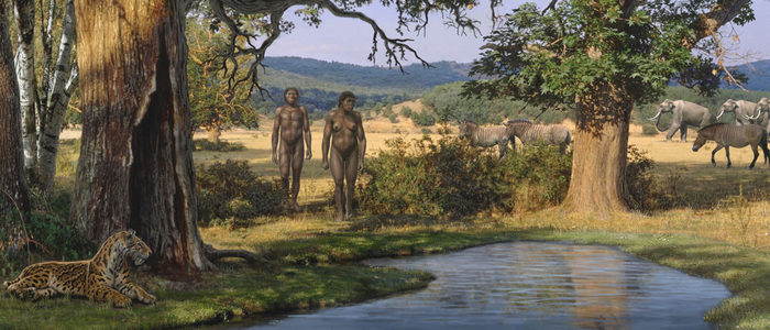 Reconstruction image