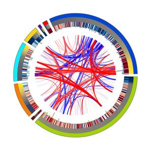 ContactTracing