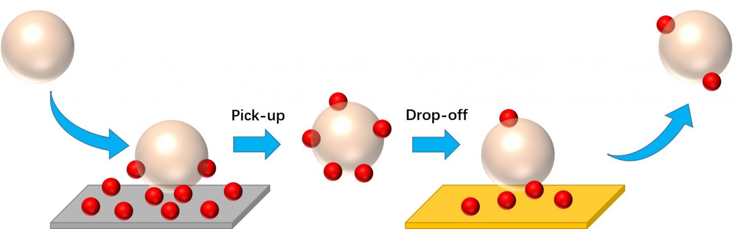 Nanoparticle Transport