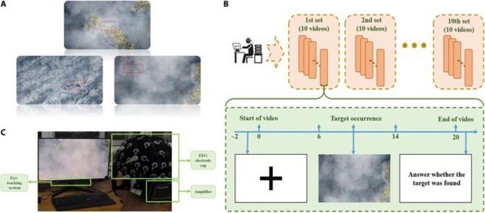 The experimental paradigm and setup.