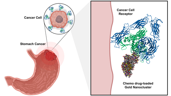 Targeted and chemo drug-loaded gold nanoclusters