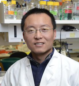 Zhonghui Lin, UT Southwestern