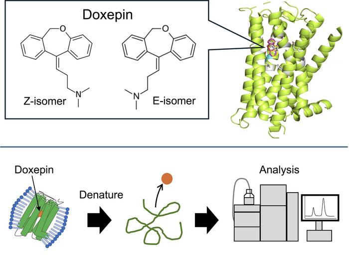 Experimental setup to determine the binding affinity of doxepin isomers to H1R