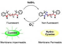 Hydrocyanine Structure