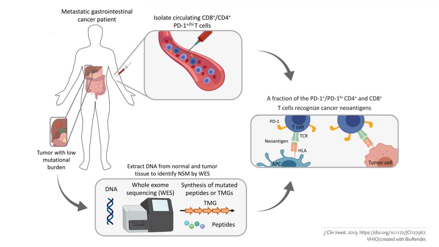 Figure VHIO/Created with BioRender
