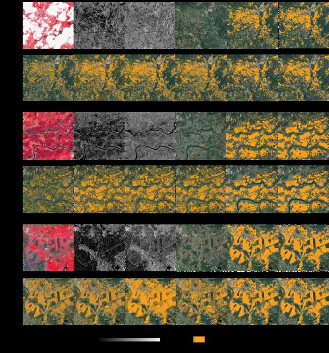 Local paddy rice mapping results: (a) Region-Ⅰ (112.38011°E, 22.36161°N); (b) Region-Ⅱ (109.97017°E, 21.4811°N); (c) Region-Ⅲ (112.8609°E, 22.03688°N).