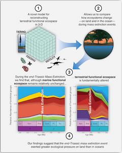 Graphic representation of the study concept and findings