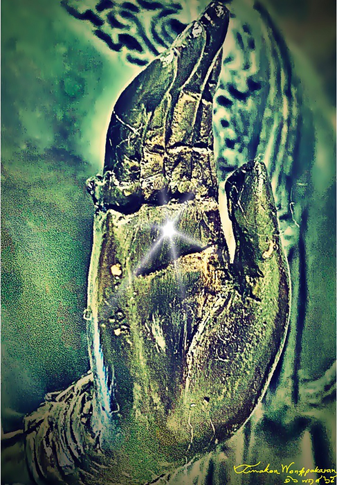 Lord Buddha posing with his hand extended forward; a widespread Buddha image in Thailand.