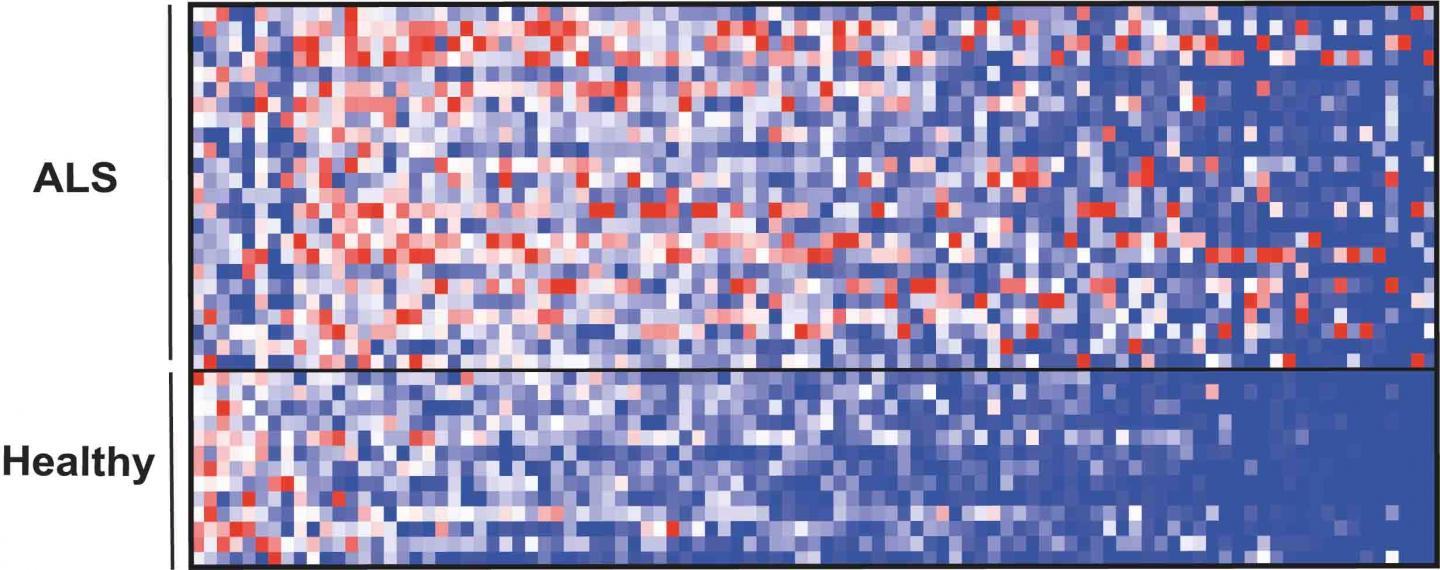 The Repertoire of Small Blood Molecules