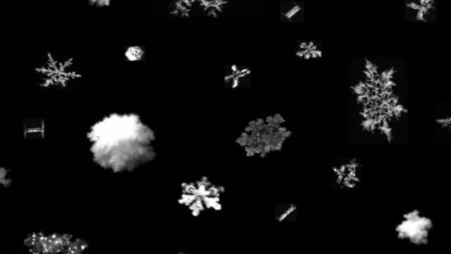 Unraveling the Mystery of Snowflakes, from the Alps to Antarctica