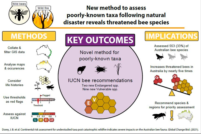 Poster summary of the study