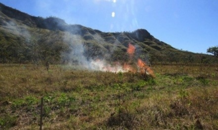 Properly Managed Fire Enhances Functional Diversity and Carbon Fixation in Savannas