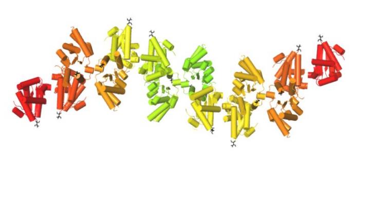 New Study Shows How Plants Fight off Disease