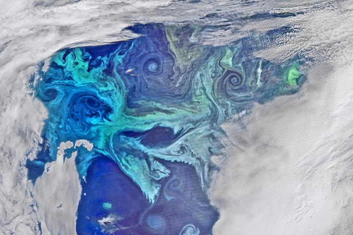 Southern Ocean bloom
