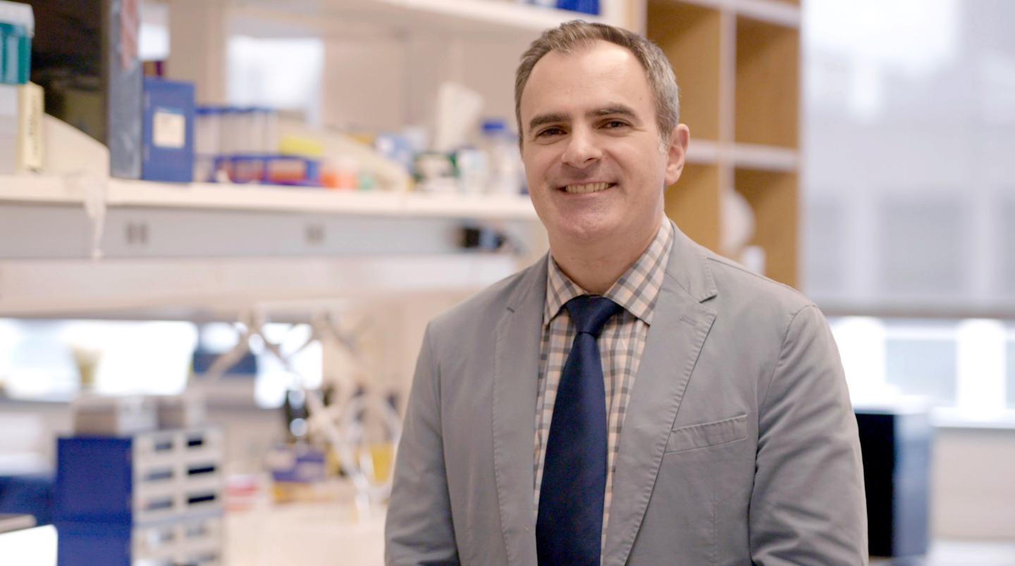 TAMEST 2019 O'Donnell Award in Medicine: Ralph DeBerardinis, M.D., Ph.D.