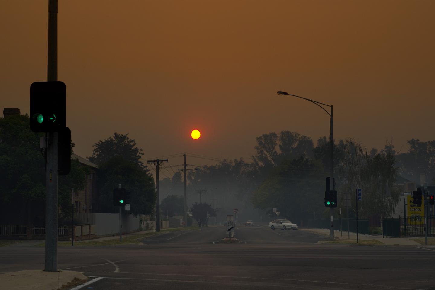 Black Summer 2019-20