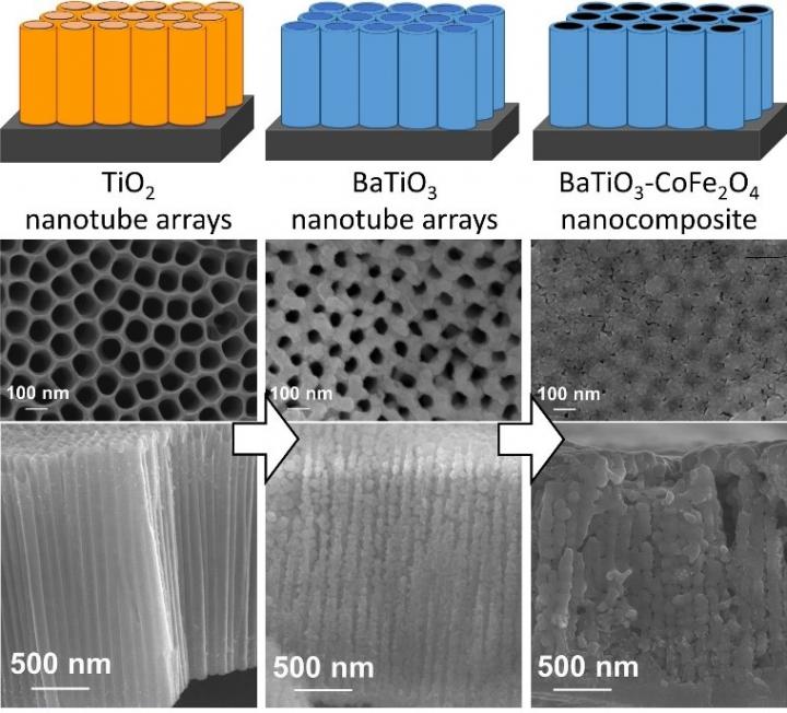 Images of the Multiferroic Nanocomposite Film Fabricated by the Developed Process
