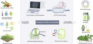 Prospects for TGM technologies in crop breeding