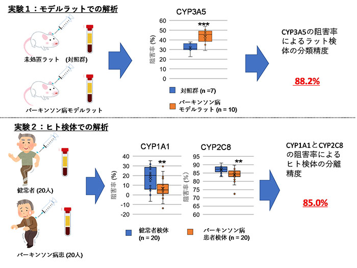 Figure 3 (Japanese version)
