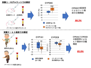 Figure 3 (Japanese version)