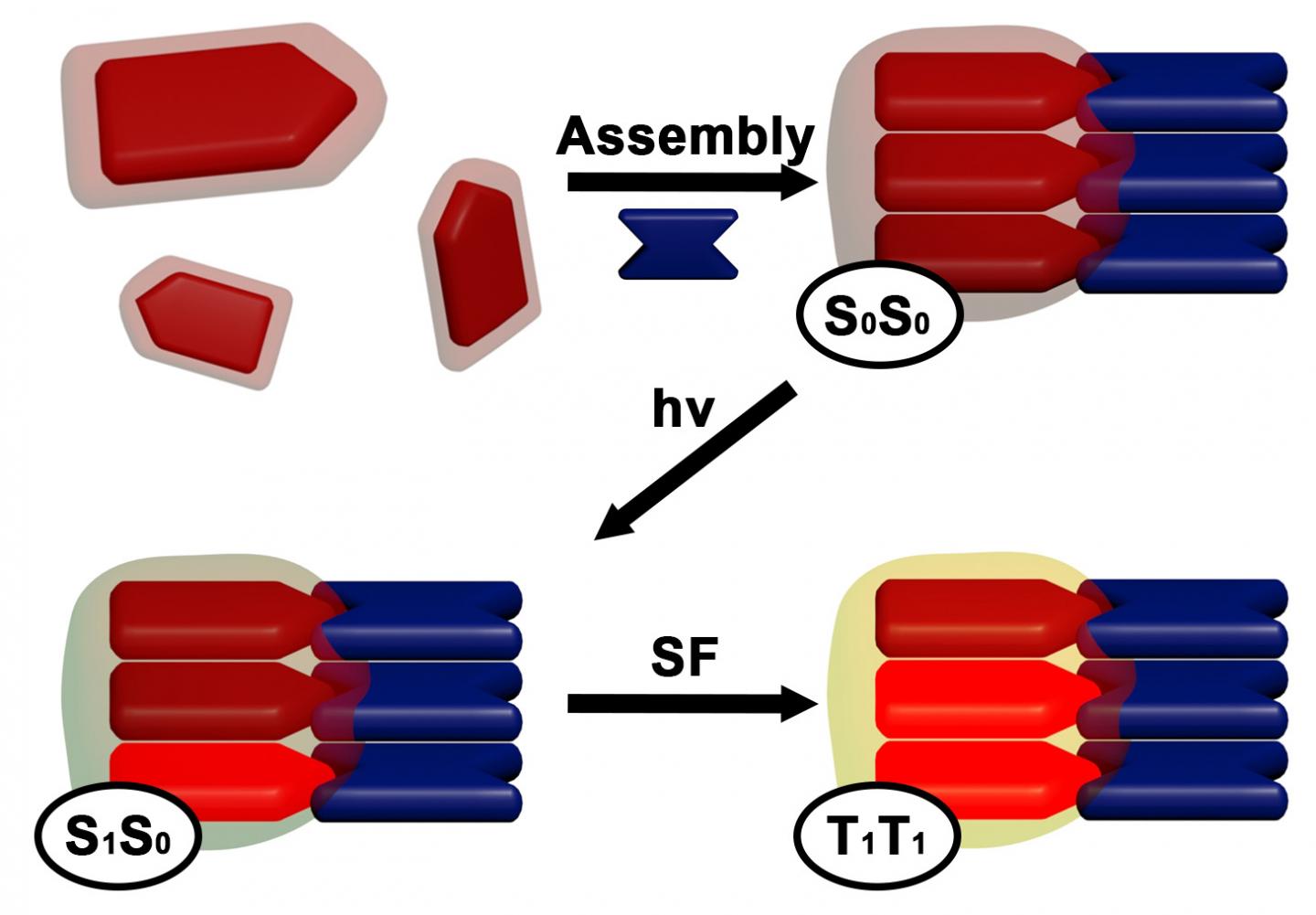 Solar-harvesting Nanomaterials