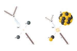 proton-proton and deuteron-gold collision diagram