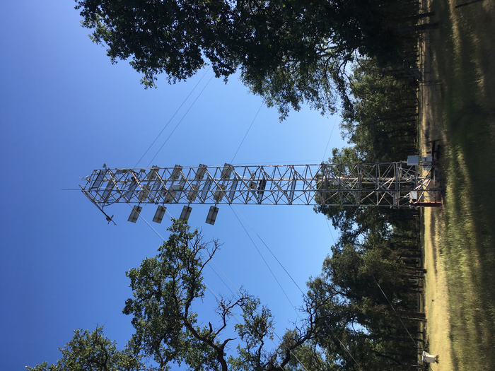 Flux tower at one of the study sites (a blue oak savannah in Central California)