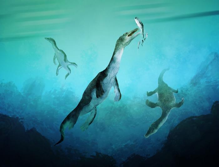Reconstruction of Nothosaurs, the oldest sea-going reptile from the Southern Hemisphere